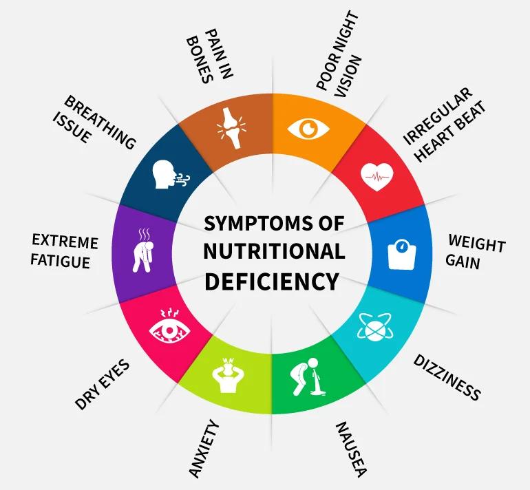 vitamin B12 rich foods and supplements